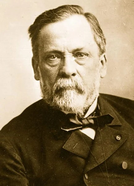 حقایق جالب که باید در مورد برند لوییس ویتون بدانید